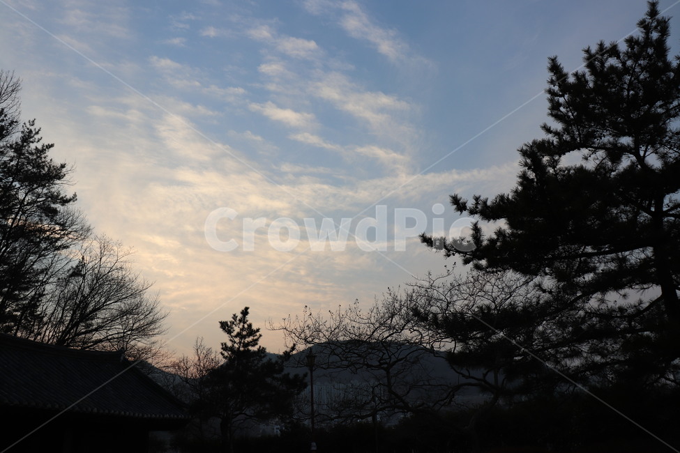 하늘,구름,자연,여수,역광