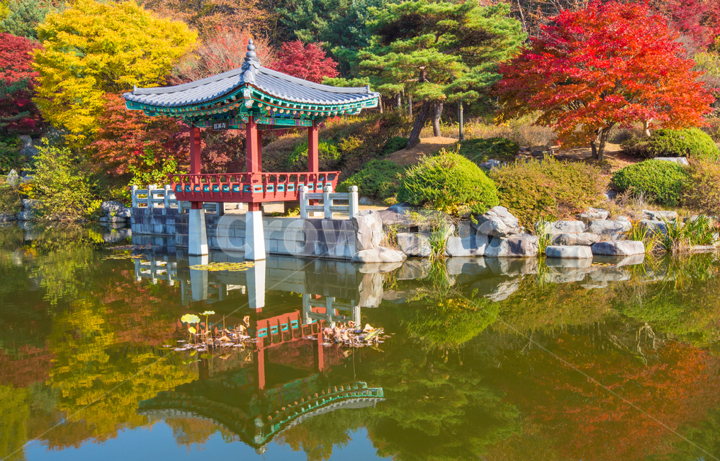 자연,풍경,가을,계절,추경,만추,호수,저수지,연못,현충원,대전,공원,전망대,물,반영,단풍나무,단풍,정원,정원수,산,노란,붉은,빨간