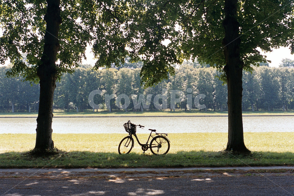 자연,숲,자전거,bike,forest,nature,풍경,필름사진