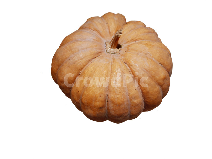 호박,늙은호박,수확,식재료,채소,음식,식품,야채,pumpkin,food,cook,meal,음식,식재료,요리,food,cook,meal,dishes,food reserves,채소,야채,vegetables,누끼,remove background