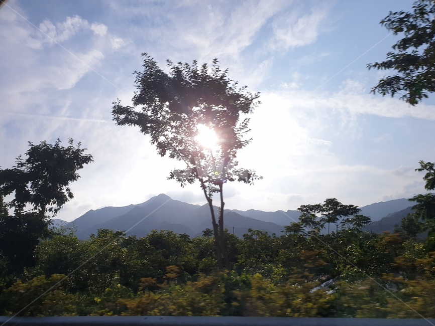 풍경,산,자연,힐링,나무
