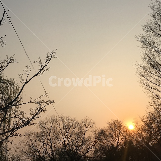 light,자연,nature,플레어,flare,빛,outdoors,노을,해,옥외
