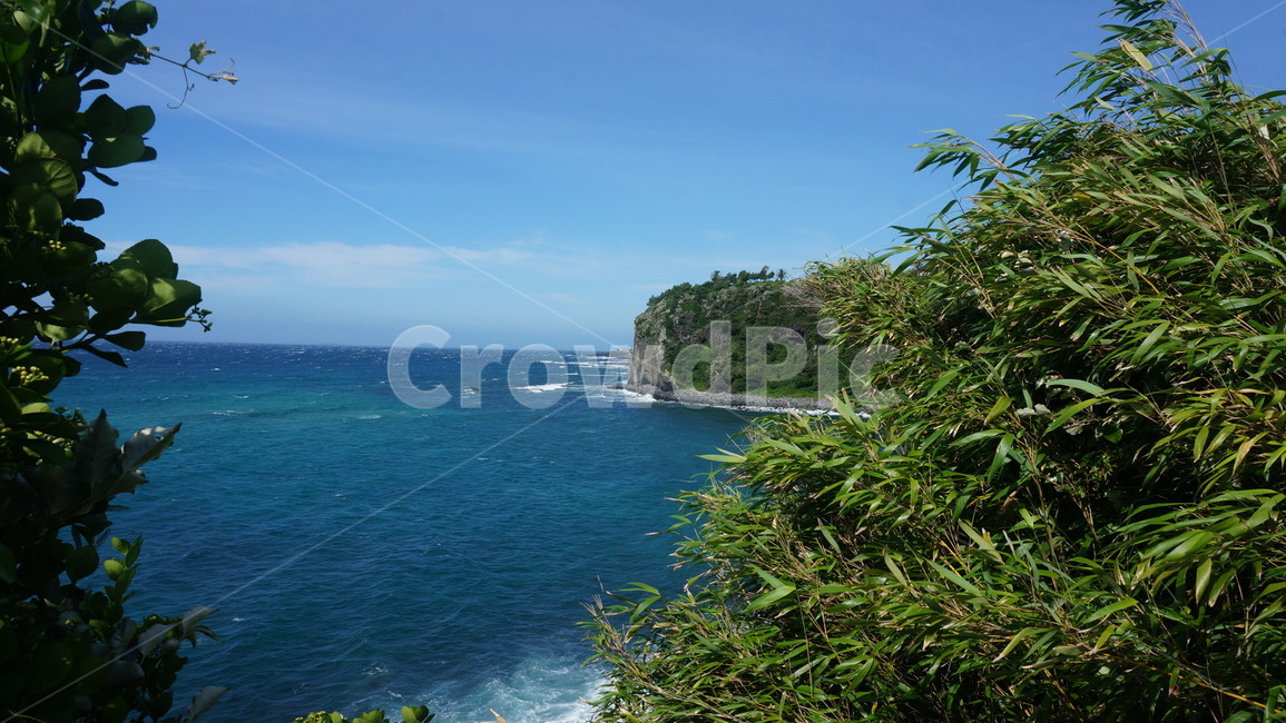 outdoors,nature,sea,coast,ocean,옥외,자연,해안선,대양,바다,연안,제주,갯깍,주상절리,제주도,해안,대나무,자연,풍경,nature,landscape,land,땅,shoreline,water,물