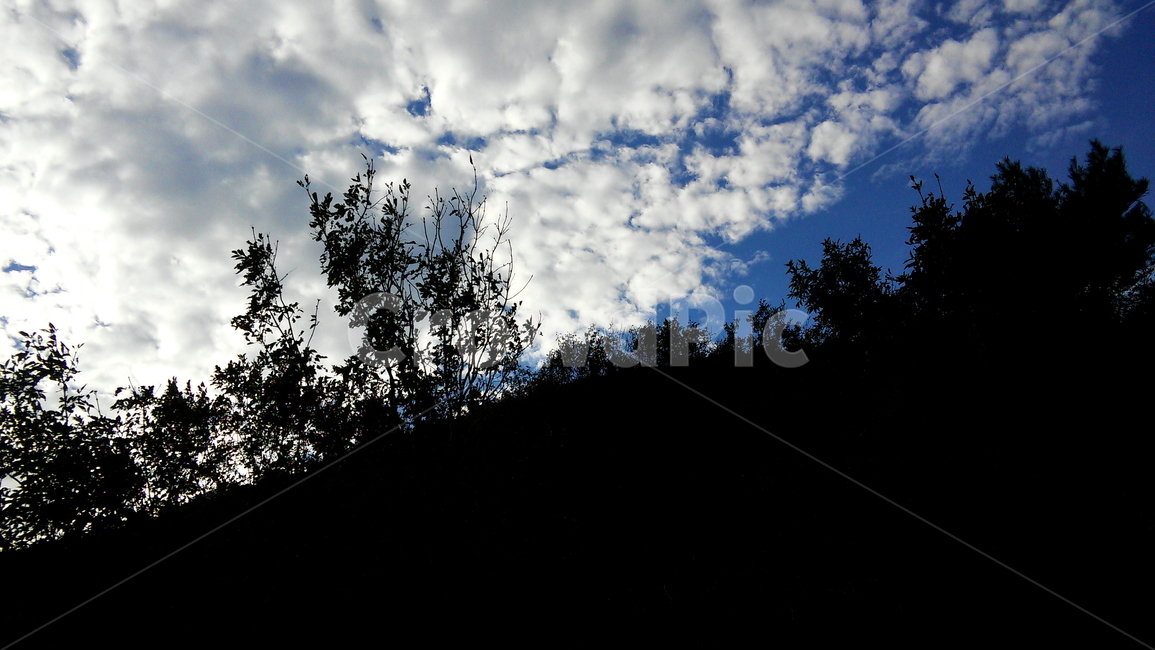 하늘,구름,배경,가을,sky,자연,나무,blue