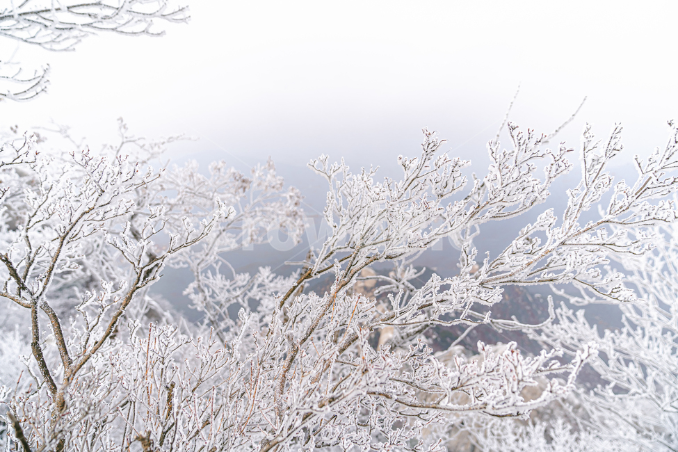 nature,자연,outdoors,옥외,ice,빙,snow,눈,frost,서리,산,등산,상고대,겨울,계절,winter,season