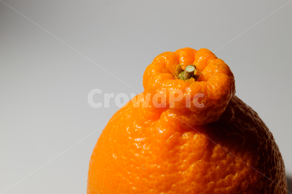 감귤,과일,제주도,오렌지색,새콤한,달콤한,신선한,감귤류,음식,잘익은,즙이많은,채식,날것,식품,맛있는,제주,과일,열매,fruit