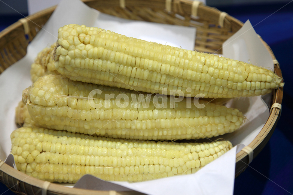 옥수수,삶은,삶은옥수수,찰옥수수,찰,간식,식량,신선한,농산물,농작물,오브젝트,식재료,음식,음식재료,재료,식품,노란,노랑,노란색,노랑색,소쿠리,음식,식재료,요리,food,cook,meal,dishes,food reserves,곡류,곡식,cereals