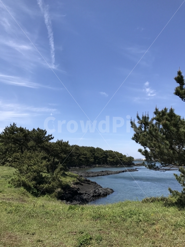 자연,감성,제주,풍경,원본,무보정,자연,풍경,nature,landscape,제주도,jeju,jeju island,tree,나무,plant,식물