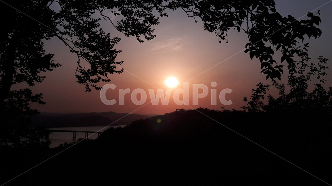 하늘공원,일몰,해,나무,풍경