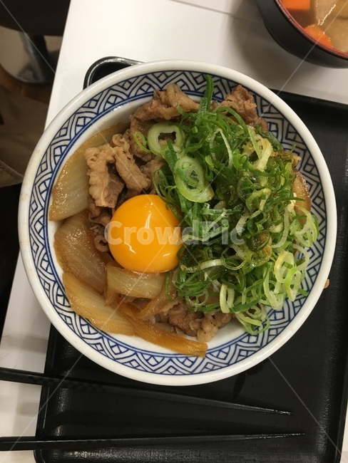 오사카,규동,음식,일본,소고기,음식,식재료,요리,food,cook,meal,dishes,food reserves,일식,일본음식,일본요리,Japanese food,Japanese dishes,Japanese meal,Japanese cook