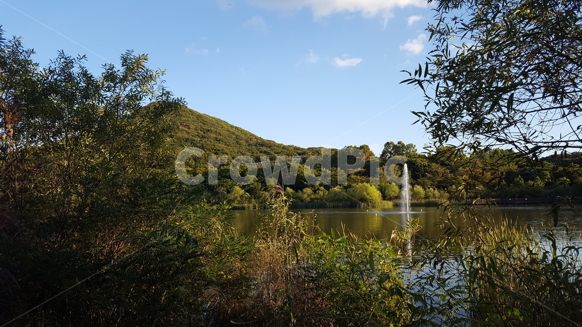 인천대공원,자연,하늘,수풀,호수,incheon,nature,sky,woods,lake