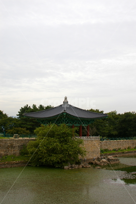 경주,풍경,자연,야외,옥외,가을,architecture,건축물,building,건물,한국전통,한국문화,korean traditional,korean culture
