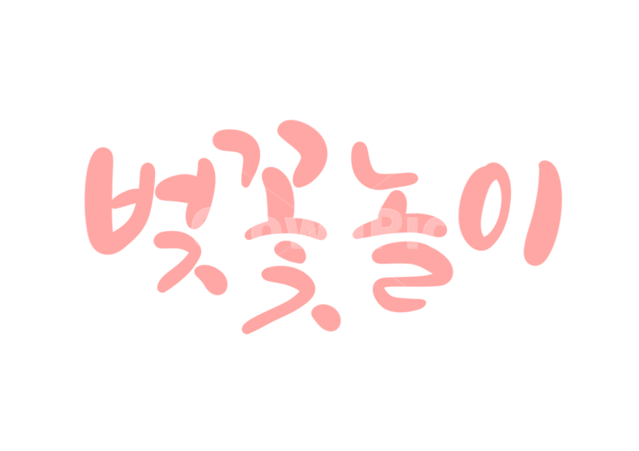 봄,spring,cherryblossom,벚꽃놀이,캘리그라피,손글씨,calligraphy,4월,벚꽃캘리그라피,봄캘리그라피