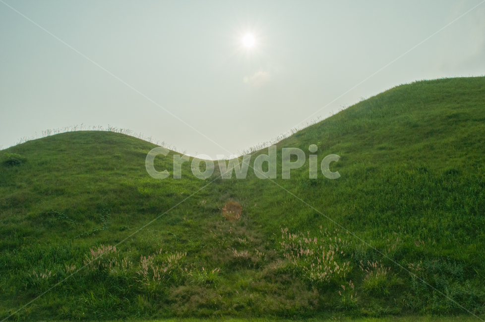 경주,왕릉,무덤,유적,해,능선,곡선,초록,한국,전통,신라,역사,자연,풍경,nature,landscape,grassland,목초지,field,들,outdoors,옥외