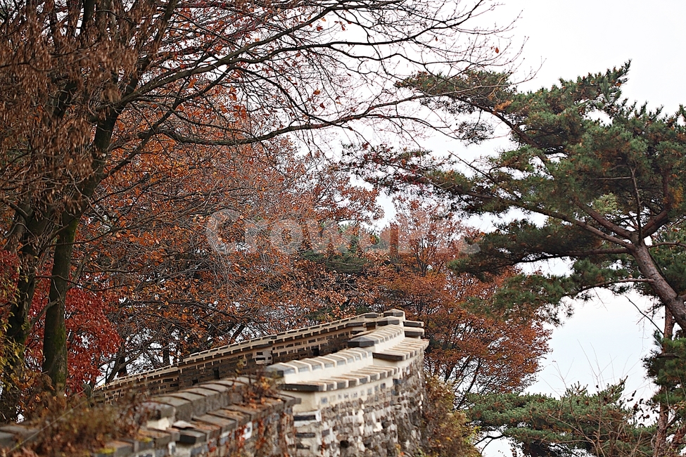 남한산성,성,성곽,단풍,낙엽,길,둘레길,숲,숲길,담,돌담,가을,자연,풍경,벽,울긋불긋,산성,식물,가을,계절,fall,autumn,season