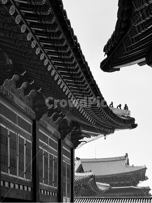 경복궁,흑백,한옥,궁궐,기와,기와집,ancientpalace,GyeongbokgungPalace,고궁