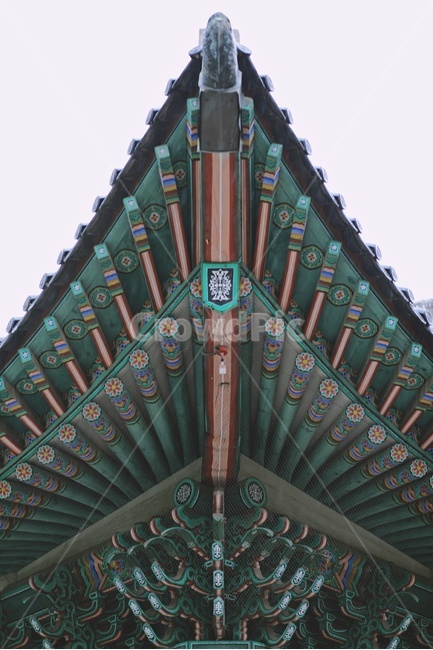 한옥,기와,기와지붕,tiledroof,koreanstylehouse,기와집,처마,나무,green,서까래,대칭,한국전통,한국문화,korean traditional,korean culture,건축물,건물외관,exterior,building,structure,architecture,construction