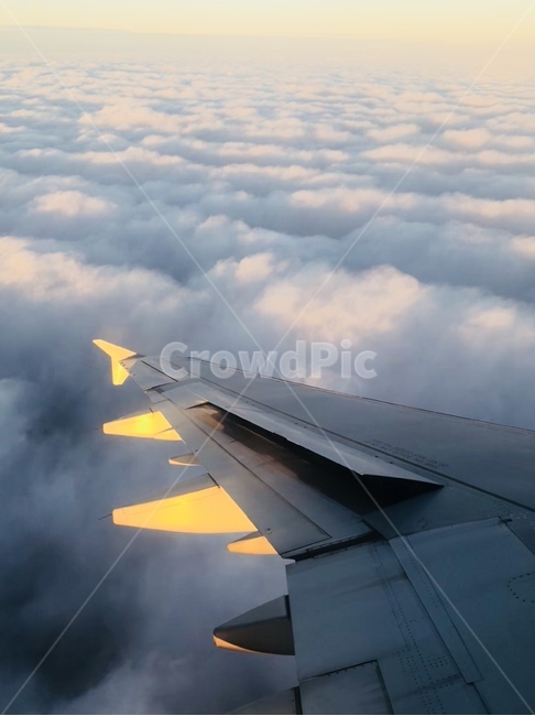 비행기,날개,구름,하늘,노을,여행,휴가,traveling,vacation,trip,교통,교통수단,traffic,transportation,aircraft,항공기,vehicle,차량,airplane,nature,자연