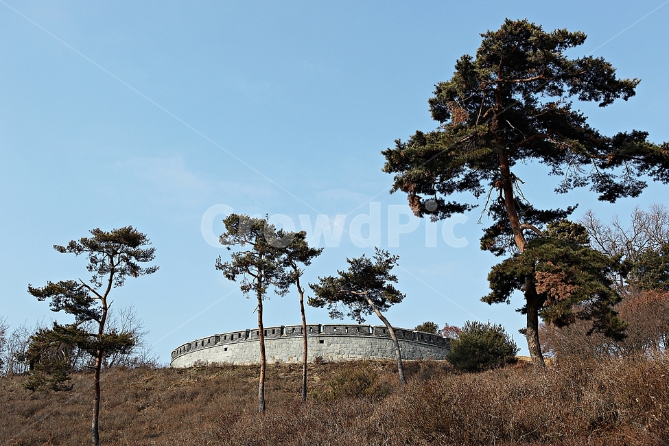 광성보,손돌목돈대,진,성곽,담,돌담,겨울,식물,자연,풍경