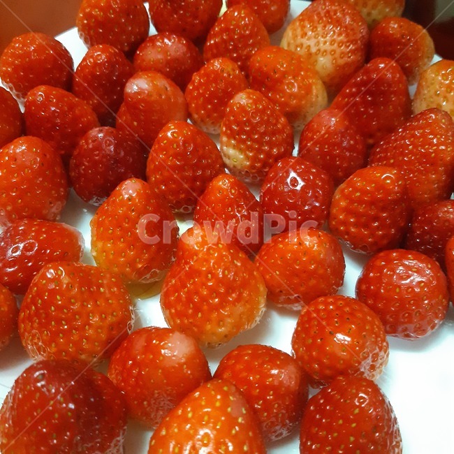 딸기,봄,과일,strawberry,음식,plant,fruit,식물,제철,빨간색,red