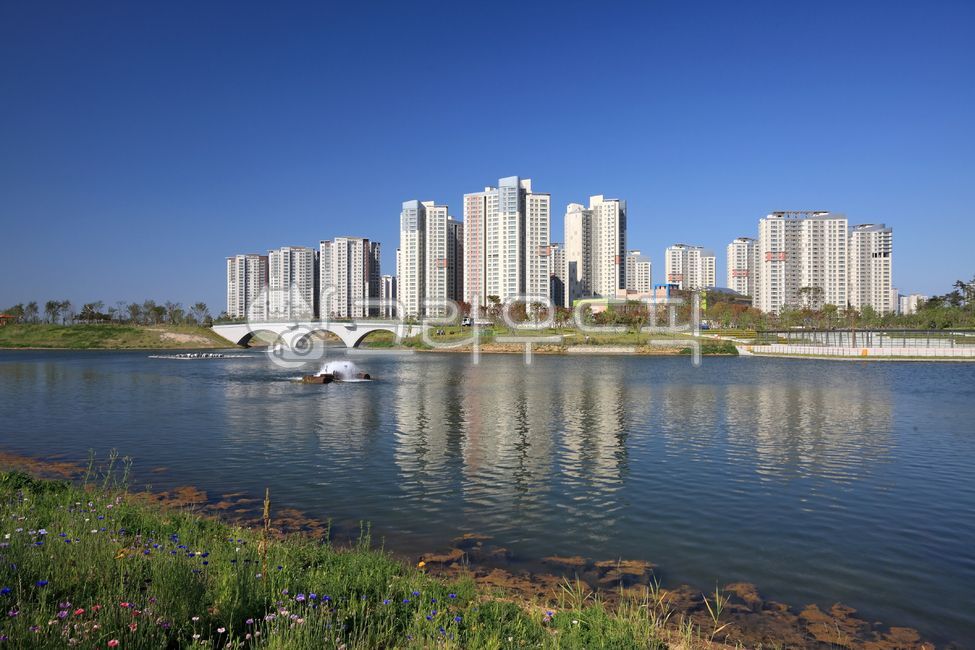 아파트,호수,공원,호수공원,청라국제도시,청라,국제도시,부동산,집,주택,주거,도시,도심,빌딩,고층,고층빌딩,고층아파트,스카이라인,하늘,풍경,자연,다리,배경,백그라운드,청라호수공원,반영,물,신도시,청라신도시,서구,인천,인천시,인천광역시