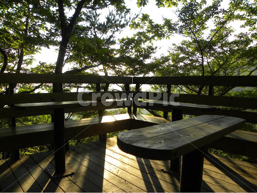 산,벤치,숲길,산속,나무,쉼터,의자,산림,mountain,bench,woodlandpath,tree,wood,restarea,forest,휴식,힐링,rest,relaxation,healing