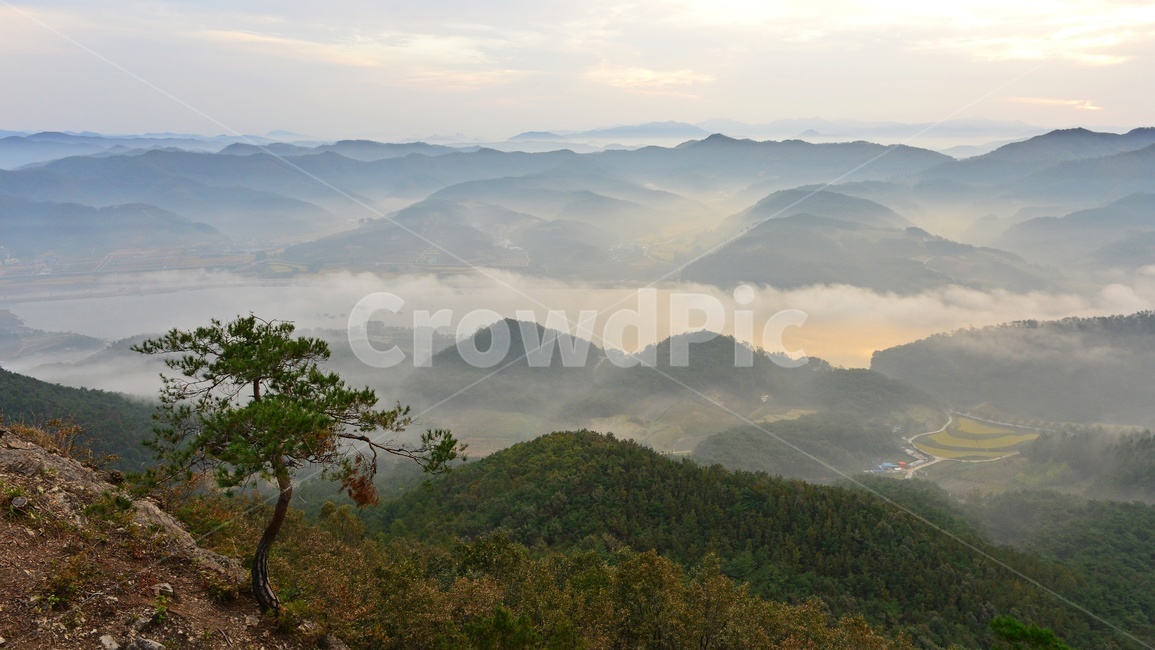 임실,국사봉,국사봉일출,여명,아침,해돋이,운해,소나무,nature,자연,mountain,산,mountainrange,산맥,outdoors,옥외,자연,풍경,nature,landscape