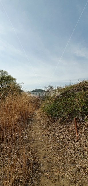 길,길가,숲,나무,하늘,휴가,푸른,흙,흙길,관광,구름,스카이,sky
