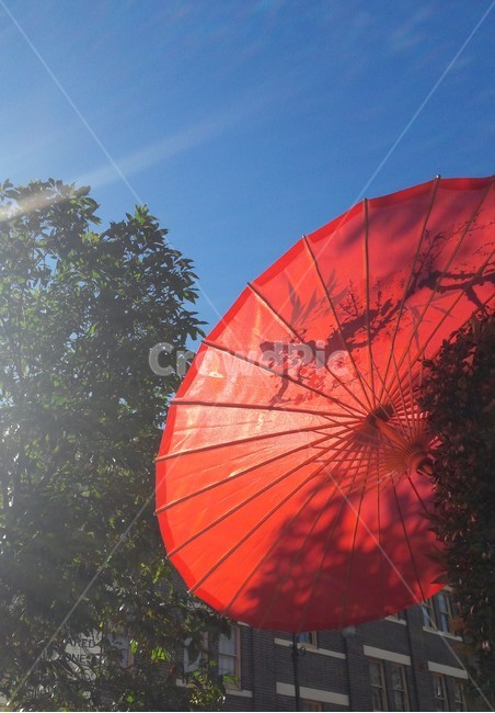 햇빛,양산,우산,그늘,parasol,자외선,폭염,빛,여름,태양,우양산,양우산,비,방수천,방수,종이우산,비닐우산,umbrella,사물,물건,오브젝트,thing,object,matter