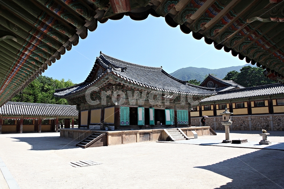 경주,불국사,절,사찰,국보,보물,전통,기와집,여름,집,한옥