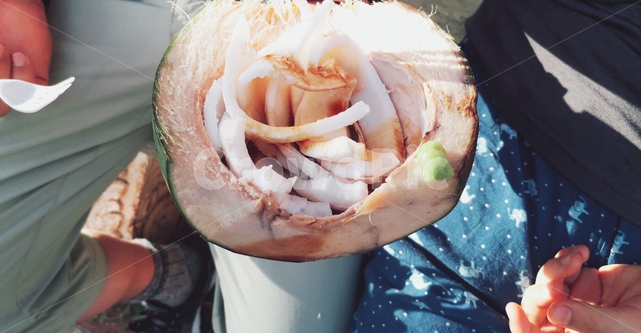 괌,코코넛,음식,간장,와사비