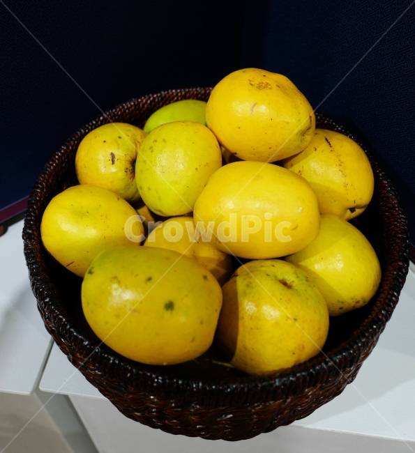 모과차,모과,열매,전통차,모과나무,음식,식재료,요리,food,cook,meal,dishes,food reserves,과일,열매,fruit