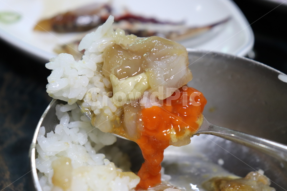 koreanfood,food,crab,meal,게장,간장게장,한식,음식,식사,음식,식재료,요리,food,cook,meal,dishes,food reserves,한식,한국음식,한국요리,korean food,korean dishes,korean meal,korean cook