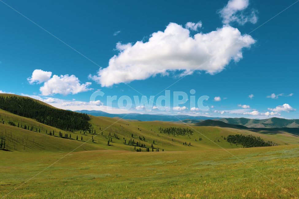 nature,자연,outdoors,옥외,field,들,grassland,목초지,하늘,sky,cloud,구름,자연,풍경,nature,landscape