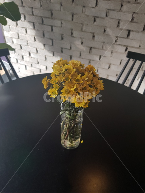꽃,노란꽃,꽃병,화병,인테리어,꽃,flower,실내용화초,화분,화초,house plant