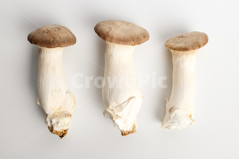 새송이버섯,버섯,음식,채소,채식,식용버섯,식용,날것,재료,식재료,음식재료,식품,식사,건강한,맛있는,부드러운,큰,균,야채,질감,비타민c,웰빙,육질,버섯갓,버섯기둥