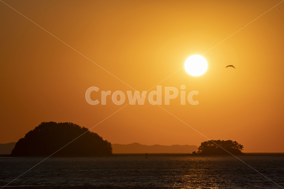 일몰,태양,바다,섬,저녁,노을,썬셋,sunlight,햇빛,animal,동물,bird,새,nature,자연,outdoors,옥외