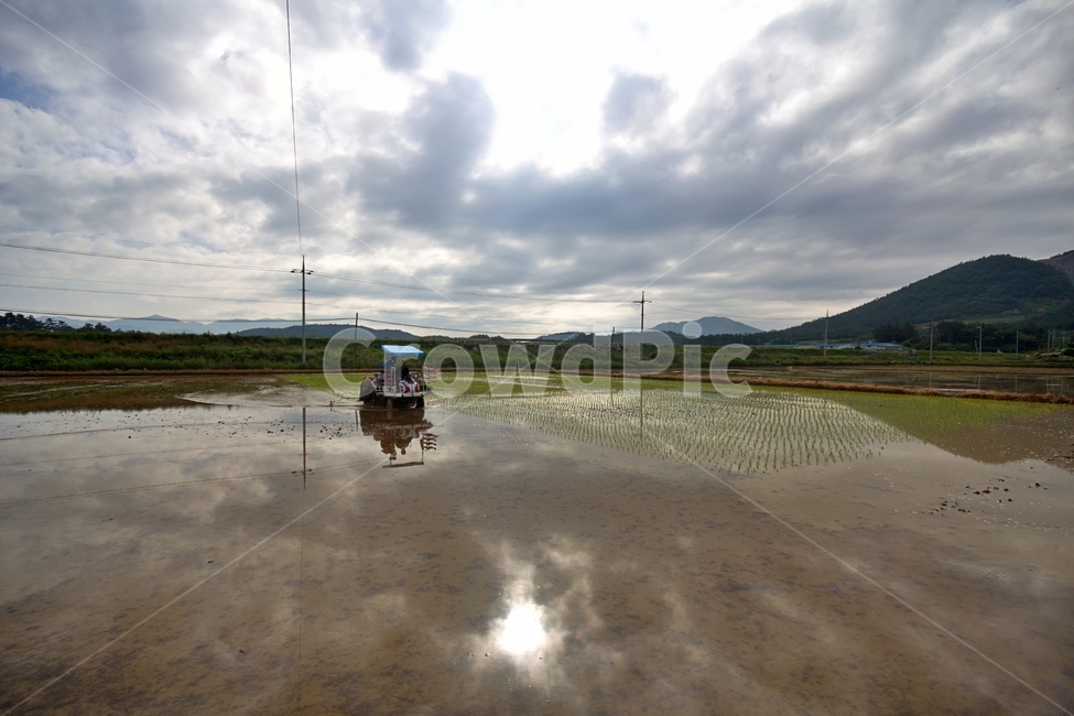봄,모내기,이양기,농번기,논농사,산업,industry,industrial,농업,농사,agriculture,farming,farming industry