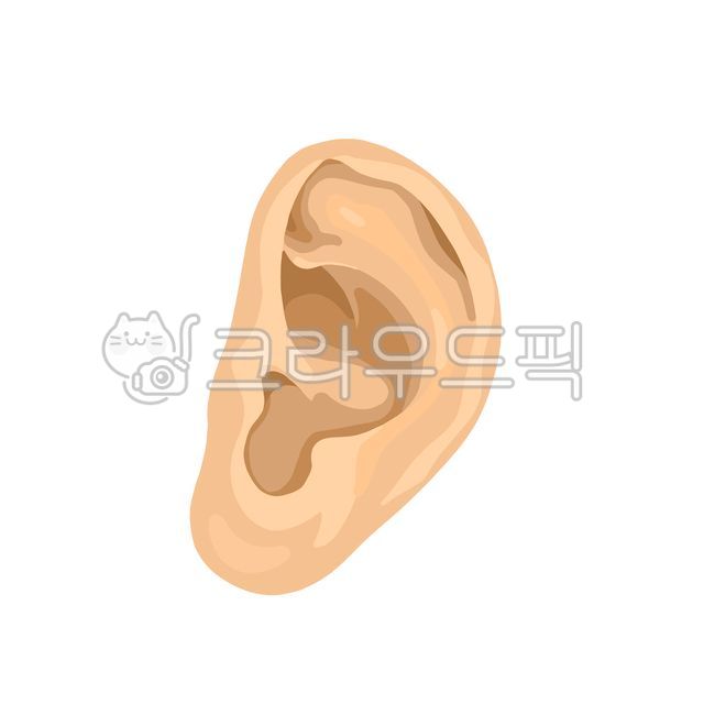 귀,일러스트,피부색,사람귀,클로즈업,부분,귀그림,인체,신체,일부,귓바퀴,귓볼,청력,청각,소리,장기,ear,organ,illustrate