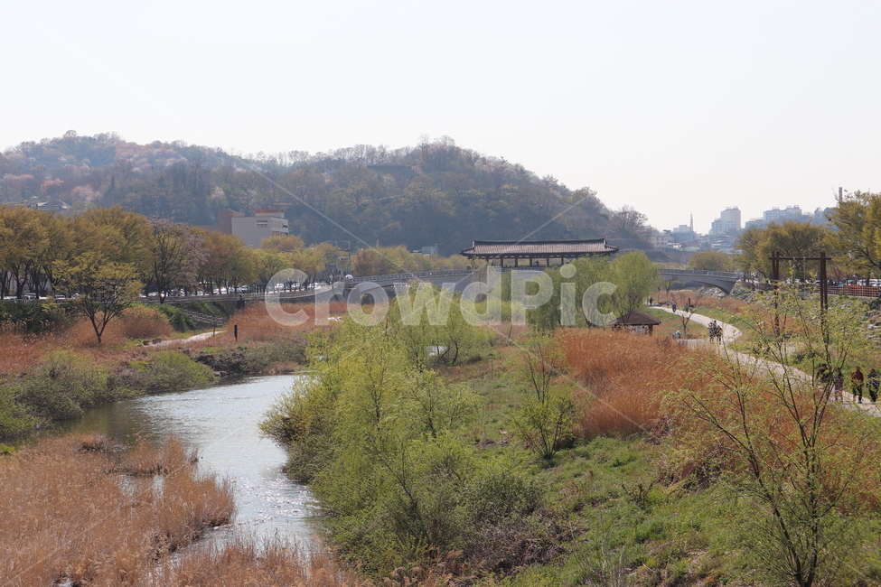 전주,전주한옥마을,봄,전통한옥,대한민국