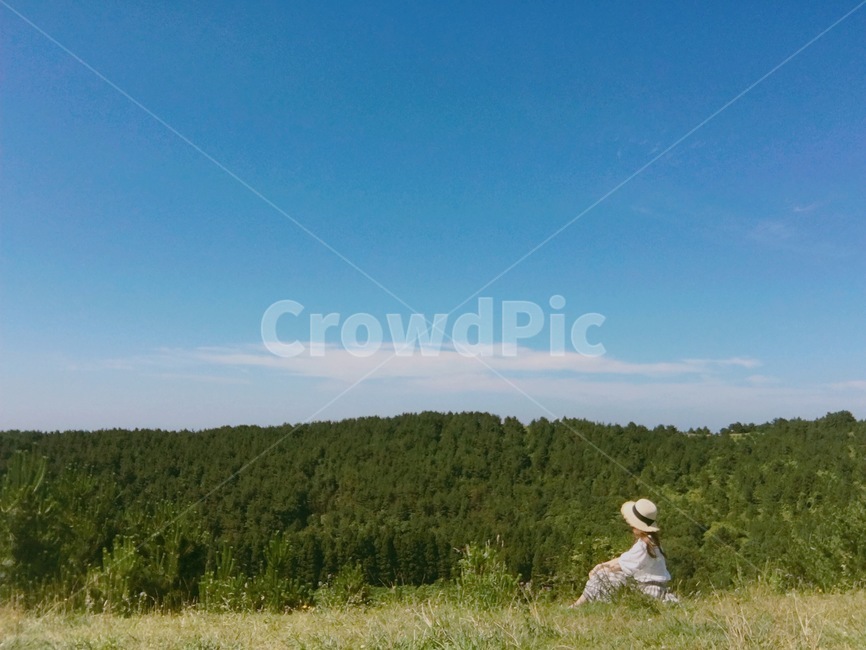 제주도,하늘,청량,맑음,구름,제주도풍경,여름,오름,나무,숲,산책,길,자연,뒷모습,모자쓴여자,밀집모자쓴여자,여자뒷모습,여자앉아있는뒷모습,혼자여행,여성,여자,woman,female,lady,여행,휴가,traveling,vacation,trip