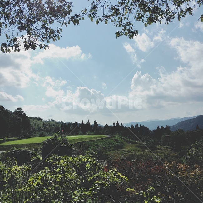 말차,하늘,일본,맑은,청량,밭,후쿠오카,초록,감성,자연