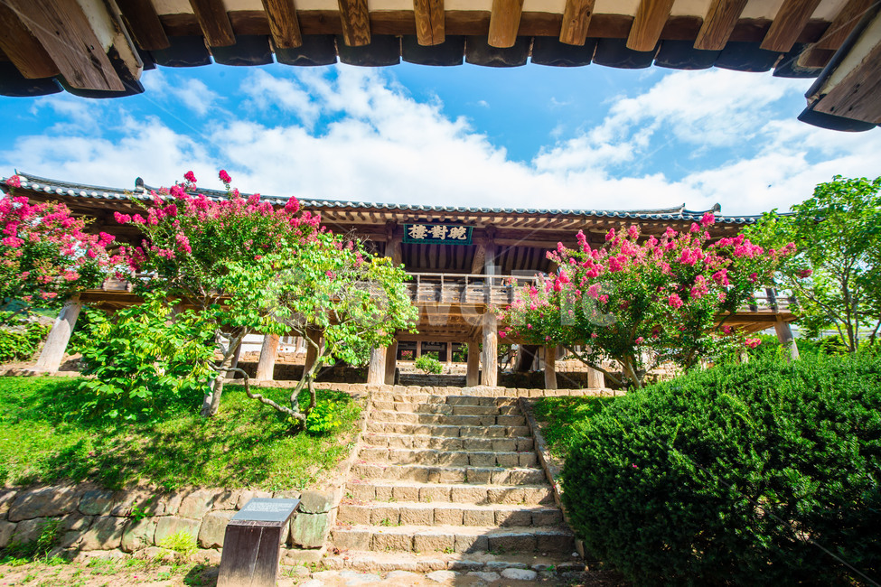 안동,병산서원,전통,문화유산,건물,자연,풍경,nature,landscape,한국전통,한국문화,korean traditional,korean culture,건축물,건물외관,exterior,building,structure,architecture,construction,outdoors,옥외,arbour,정자,garden,정원,porch,현관,patio,안마당