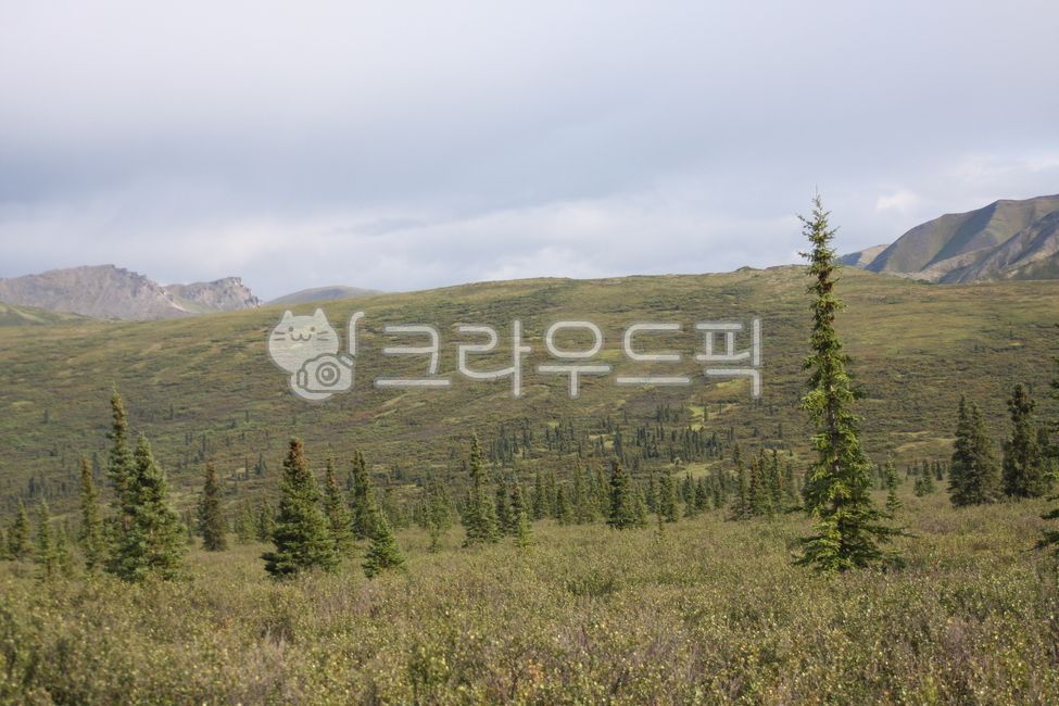 cloud,tundra,mountain,Denali National Park,nature,trekking,alaska,sight,Alaska,denalinationalpark