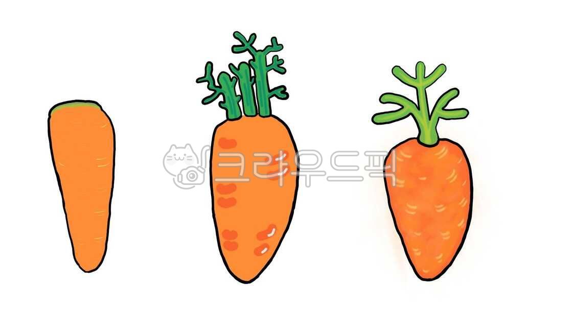 당근,당근일러스트,야채,food,음식,당근그림