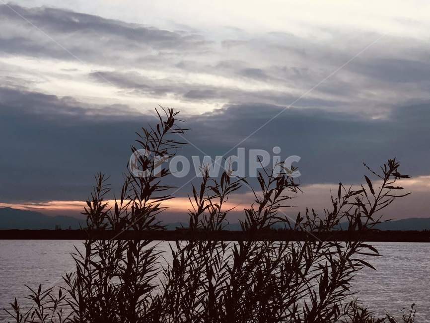 해질녘,저녁,푸른하늘,강,풍경,landscape,nature,그림자,shadow,sunset,night,blue,sense,sensible,감성,감성사진,하늘,구름,sky,clouds