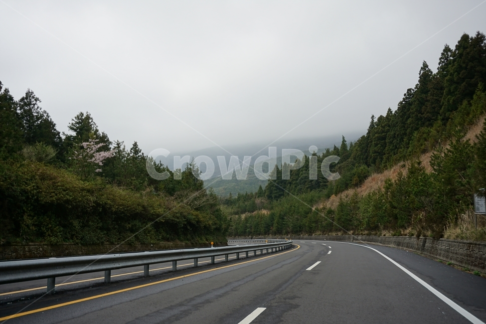 제주도,도로,516로,내리막길,드라이브,드라이브코스,trip,journey,vacation,jeju,풍경,자연,풍경,nature,landscape,교통,교통수단,traffic,transportation,road,freeway,고속 도로,highway,고속도로