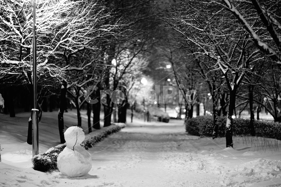 눈사람,겨울,눈,외로움,고독함,쓸쓸함,전등,가로등,겨울풍경,겨울,계절,winter,season,흑백,모노톤,monochrome,black and white