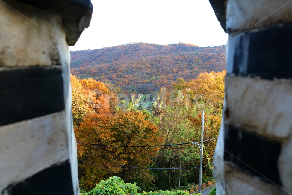 남한산성,산성,성벽,자연,풍경,가을,단풍,나무,공원,가을,계절,fall,autumn,season