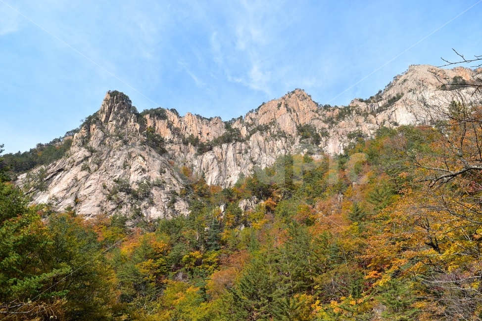 설악산,가을,단풍,풍경,백담사,구곡담계곡,수렴동계곡,계곡풍경,오색단풍,가을색,폭포풍경,가을비경,자연,스포츠,등산,산행,nature,느낌,아름다운,다큐,필,계절,디자인,힐링,명산,국립공원,순백,트레킹,단풍잎,오색,칼라풀,뷰티플,단풍터널,단풍숲,산객,등산객,그림같은,감성,절경,자연,풍경,nature,landscape,가을,계절,fall,autumn,season,tree,나무,plant,식물,fir,전나무,outdoors,옥외